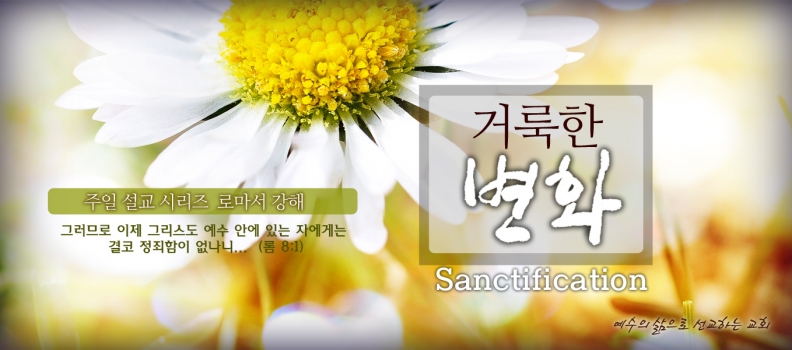 11/29 거룩한 변화6 하나님의 후사1 (롬 8:12-17)