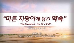 Church of Jesus 8  민수기 17:1-8  “마른 지팡이에 담긴 약속”