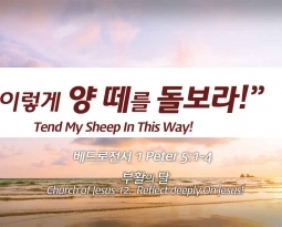 Church of Jesus 12 베드로전서 5:1-4 “이렇게 양 떼를 돌보라.”