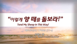 Church of Jesus 12 베드로전서 5:1-4 “이렇게 양 떼를 돌보라.”