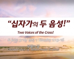 Church of Jesus 13 요 3:16/ 딤전 1:13-16 “십자가의 두 음성”