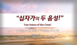 Church of Jesus 13 요 3:16/ 딤전 1:13-16 “십자가의 두 음성”