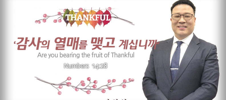 Thankful 1 민수기 14:28 감사의 열매를 맺고 계십니까?