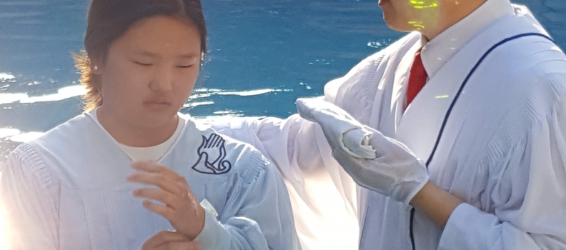 5/3 세례식 영상