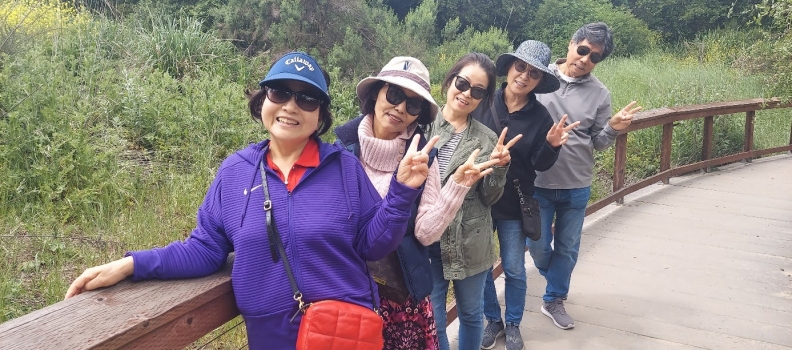 4/24 시니어 목장 꽃놀이