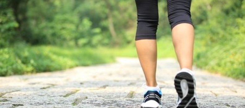 Adventure 63  창49:29-50:14 신앙의 완주