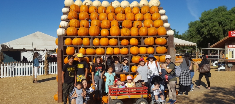 10/27 교육부picking